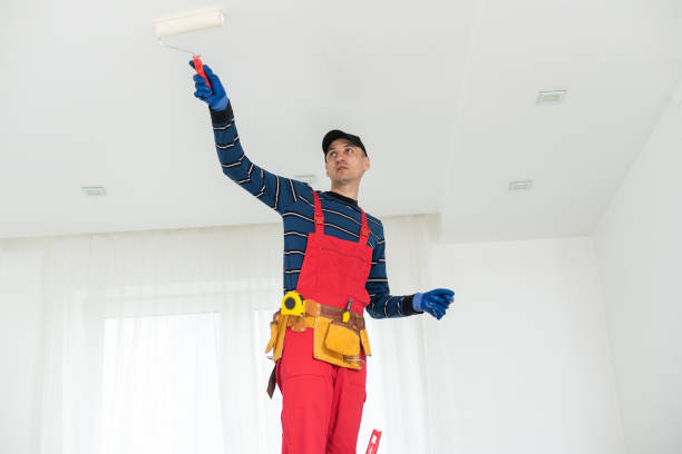 Best Black Mold Removal  in West Vero Corridor, FL